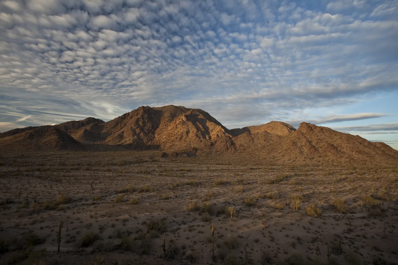 A wide view of mountain ridges and saguaro cacti in the Sonoran Desert beneath a textured blue sky.